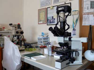 �Continuiamo a raffigurare a mano gli insetti - sottolinea il docente -: la fotografia infatti non riesce a mettere a fuoco i dettagli di soggetti di piccolissime dimensioni che noi naturalmente osserviamo con il microscopio�